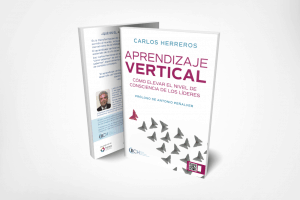 Aprendizaje vertical de Carlos Herreros